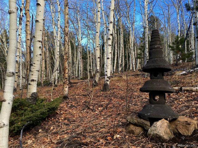 1 Alps Hill Rd, Central City, CO 80427