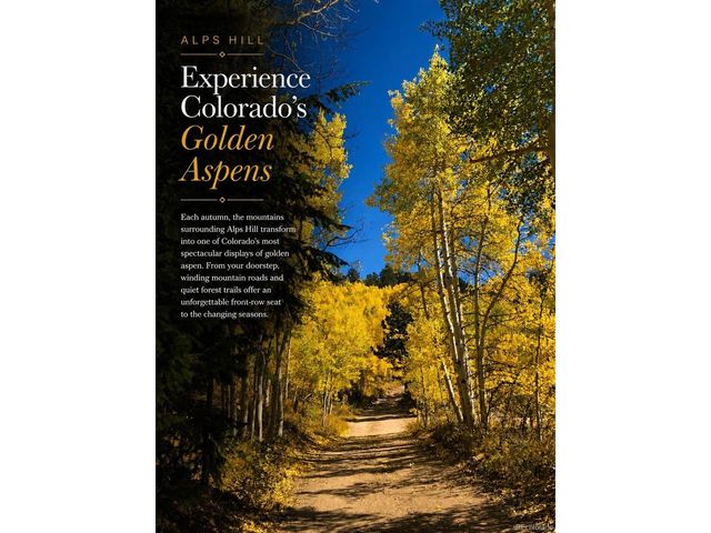 1 Alps Hill Rd, Central City, CO 80427