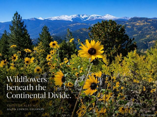 1 Alps Hill Rd, Central City, CO 80427