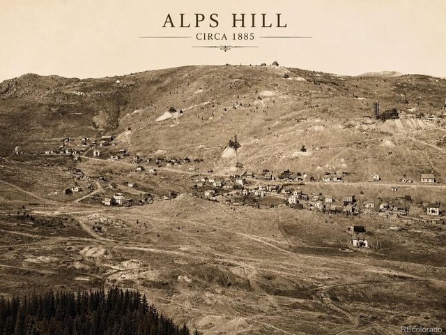 1 Alps Hill Rd, Central City, CO 80427