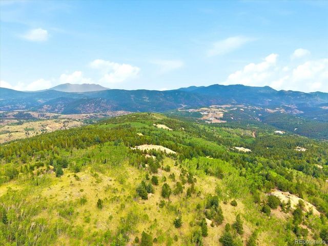 1 Alps Hill Rd, Central City, CO 80427