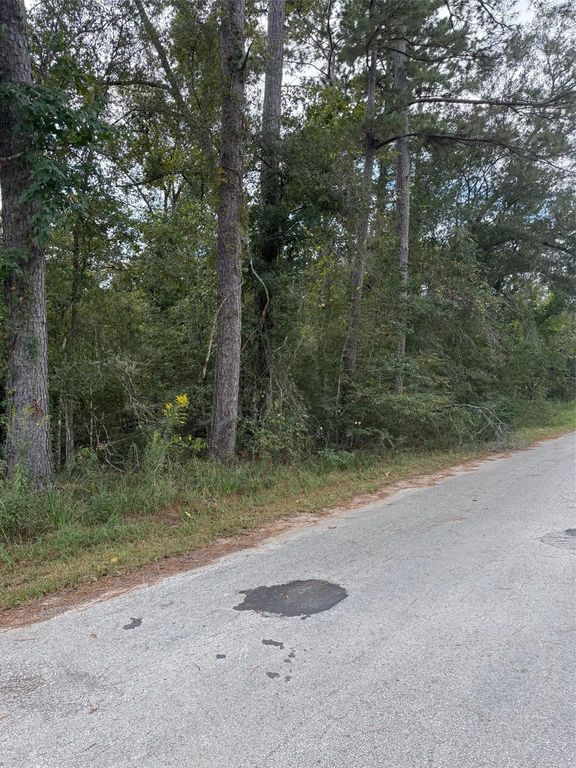 Lot 17 Long Street, Splendora, TX 77372