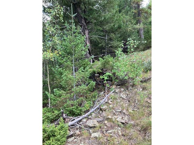 7 Miners Rd, Black Hawk, CO 80422