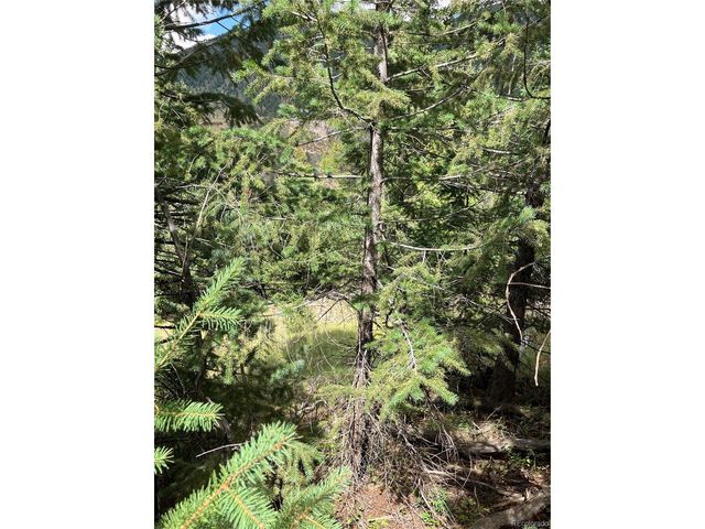 7 Miners Rd, Black Hawk, CO 80422