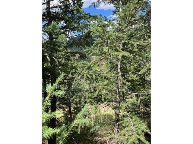 7 Miners Rd, Black Hawk, CO 80422