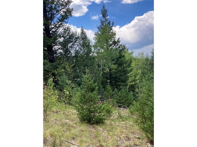 7 Miners Rd, Black Hawk, CO 80422
