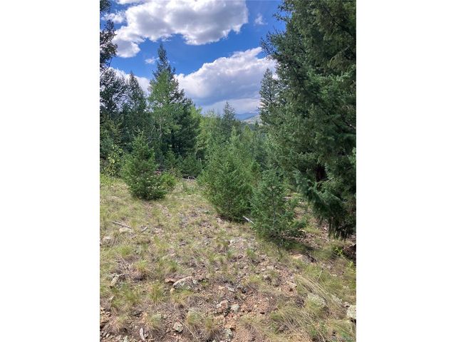 7 Miners Rd, Black Hawk, CO 80422