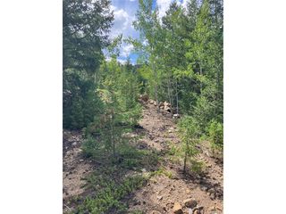 7 Miners Rd, Black Hawk, CO 80422