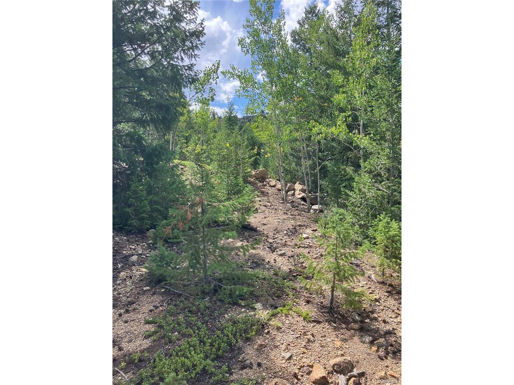 7 Miners Rd, Black Hawk, CO 80422