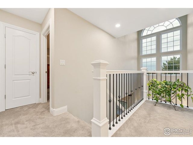 1905 Lookout Dr, Windsor, CO 80550