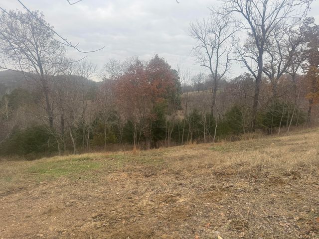 3179 Goff Ridge Road, Pineville, MO 64856