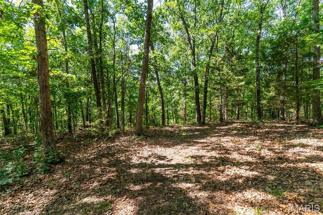 10450 Ok Road, Bonne Terre, MO 63628