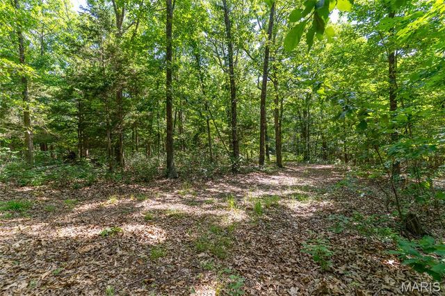 10450 Ok Road, Bonne Terre, MO 63628