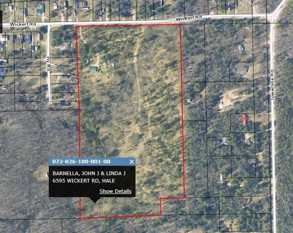 6595 Wickert Road, Plainfield Twp, MI 48739