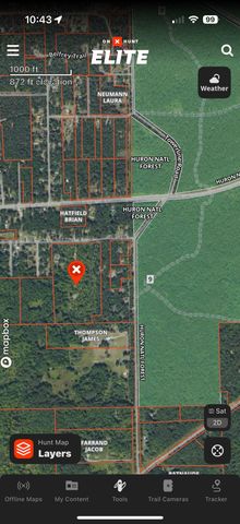 6595 Wickert Road, Plainfield Twp, MI 48739