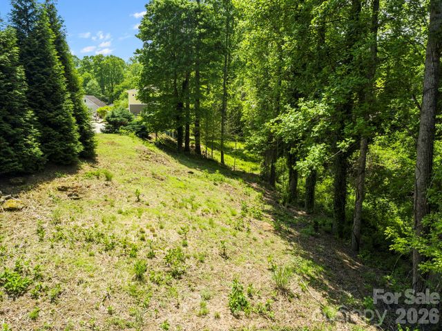 20 Riverlink Lane, Asheville, NC 28806
