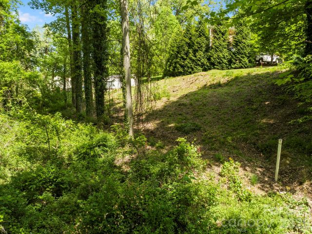 20 Riverlink Lane, Asheville, NC 28806