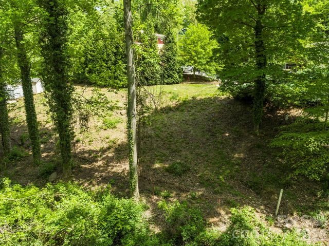 20 Riverlink Lane, Asheville, NC 28806