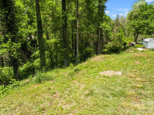 20 Riverlink Lane, Asheville, NC 28806
