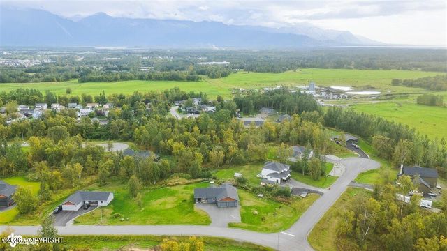 910 W Emerald Cone Circle, Palmer, AK 99645