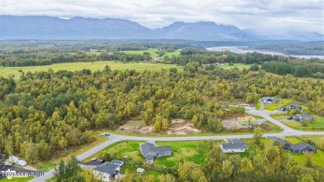 910 W Emerald Cone Circle, Palmer, AK 99645