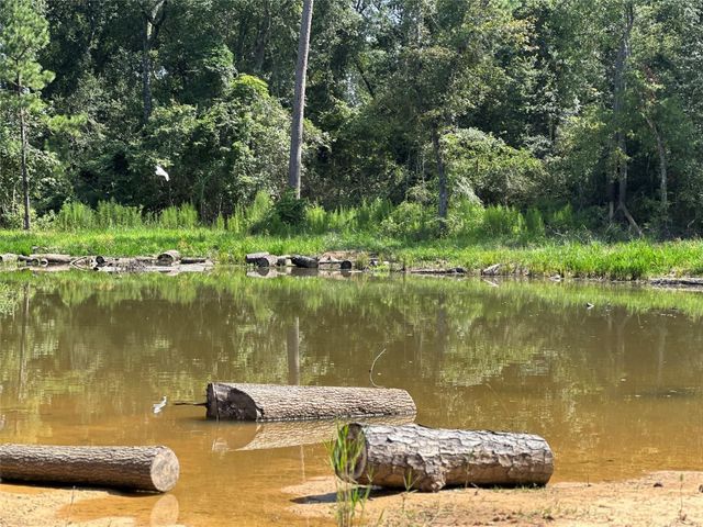 18974 Oak Hill Lane, Porter, TX 77365