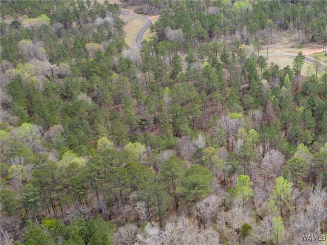 Lot 3 Pine Ridge, Coker, AL 35452