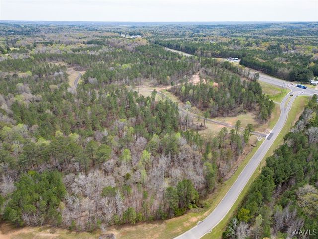 Lot 3 Pine Ridge, Coker, AL 35452