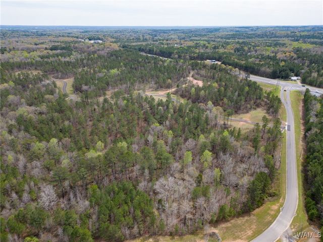 Lot 3 Pine Ridge, Coker, AL 35452