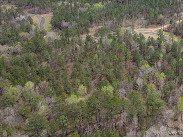 Lot 3 Pine Ridge, Coker, AL 35452