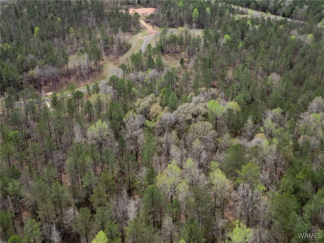 Lot 3 Pine Ridge, Coker, AL 35452