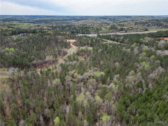 Lot 3 Pine Ridge, Coker, AL 35452