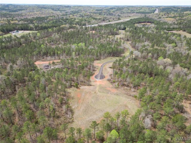 Lot 3 Pine Ridge, Coker, AL 35452