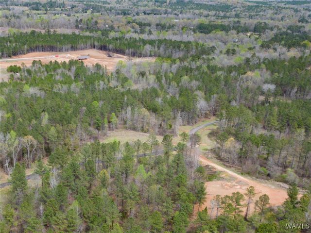 Lot 3 Pine Ridge, Coker, AL 35452