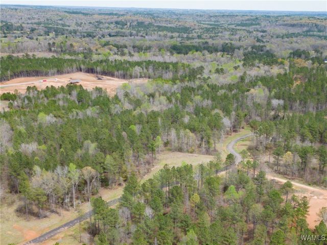Lot 3 Pine Ridge, Coker, AL 35452