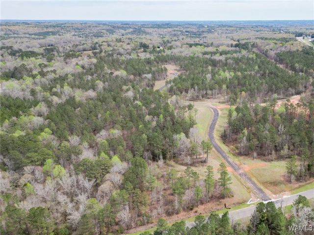 Lot 3 Pine Ridge, Coker, AL 35452