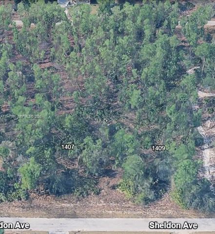 1407 Sheldon Ave, Lehigh Acres, FL 33972