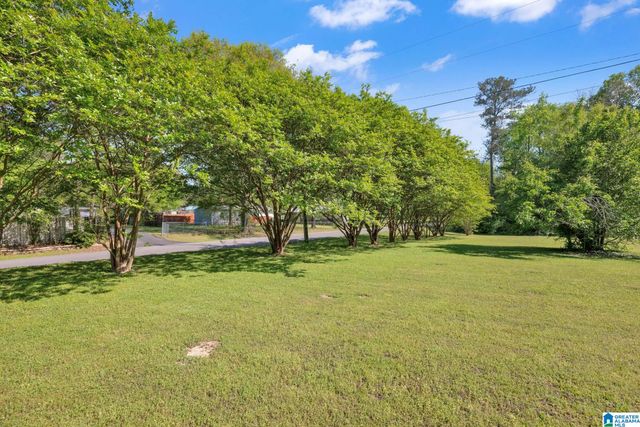 301 WILLIAMS AVENUE, Hanceville, AL 35077