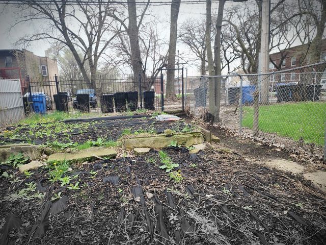 6953 S Elizabeth Street, Chicago, IL 60636