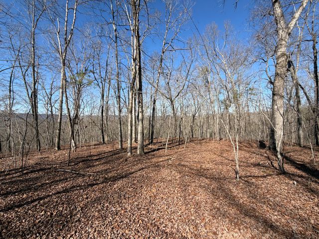 1046 Pendall Lane, Soddy Daisy, TN 37379