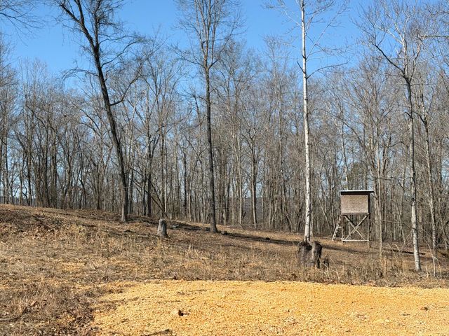 1046 Pendall Lane, Soddy Daisy, TN 37379