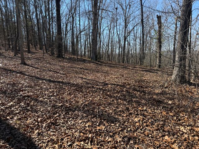 1046 Pendall Lane, Soddy Daisy, TN 37379
