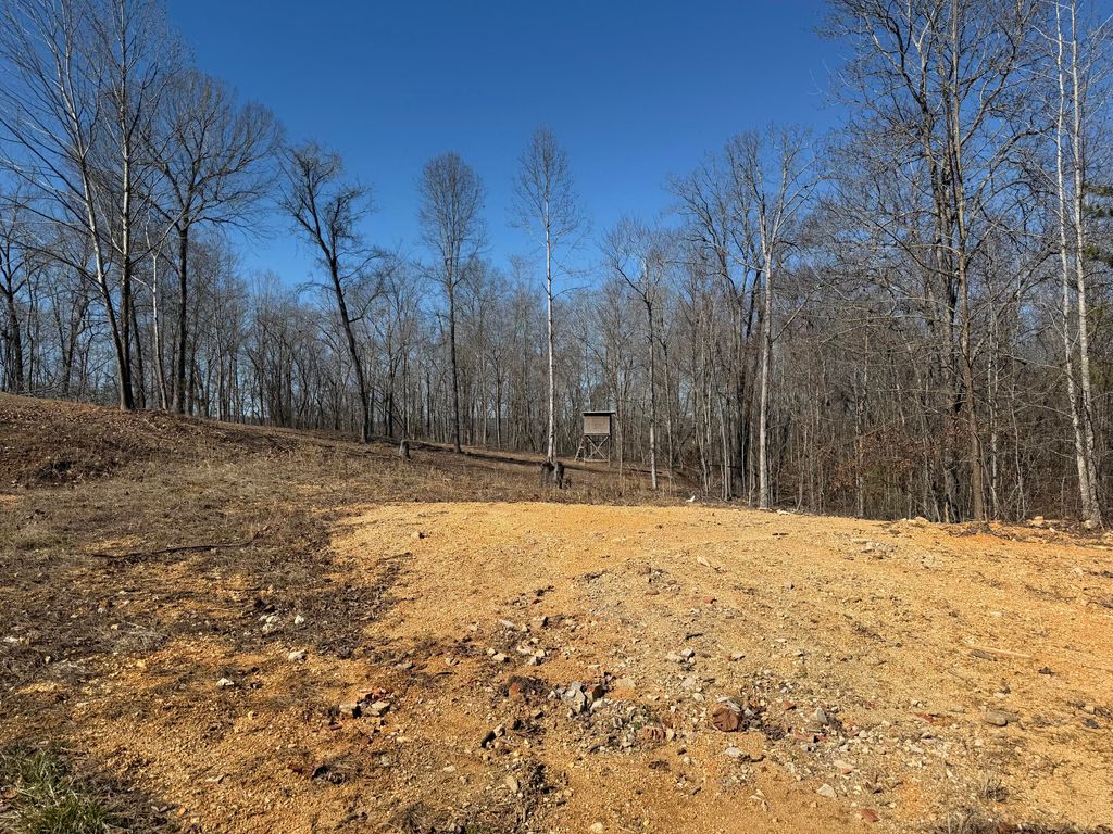 1046 Pendall Lane, Soddy Daisy, TN 37379