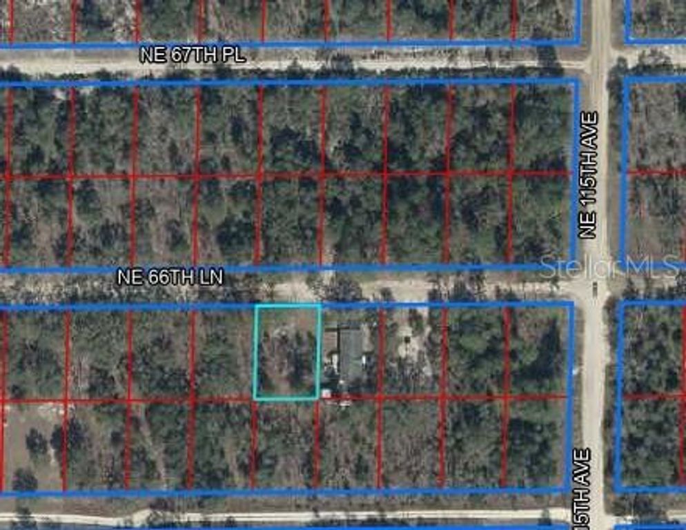 NE 66TH LANE LOT 11, Williston, FL 32696