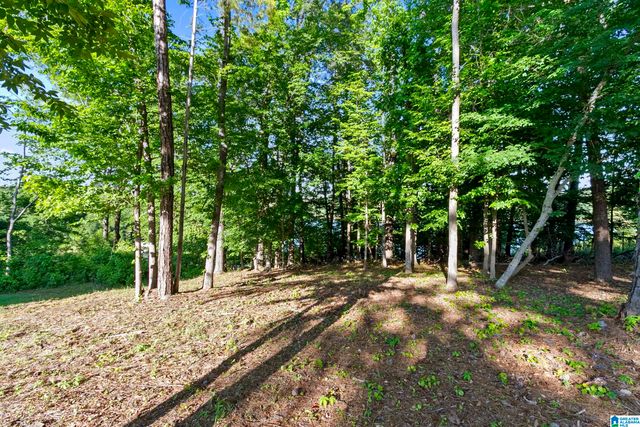 1708 SUNRISE POINTE, Tuscaloosa, AL 35406