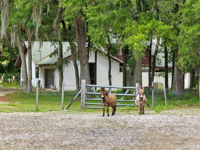 1142 BUCKLES ROAD, Pierson, FL 32180