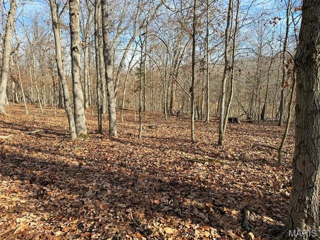 0 Haverstick School Road, Festus, MO 63028