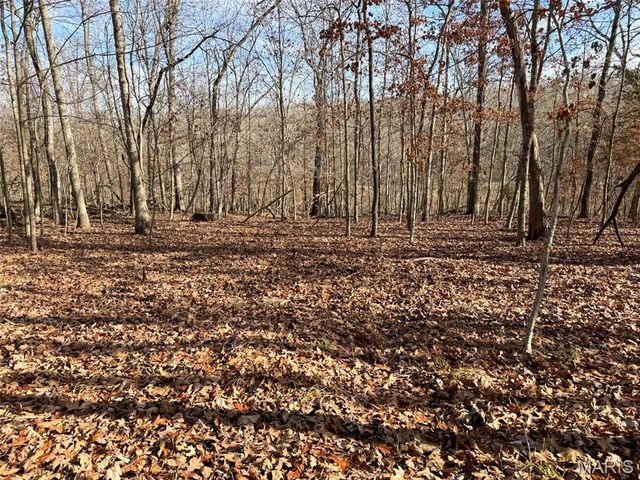 0 Haverstick School Road, Festus, MO 63028