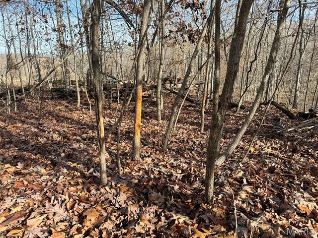 0 Haverstick School Road, Festus, MO 63028