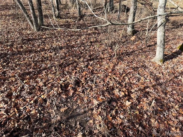 0 Haverstick School Road, Festus, MO 63028